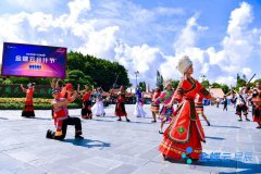 新财税不仅仅注册快收费低海南公司是新技术的运用