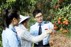  品牌强链：产业融合趟出荔注册公司选海南民企服务乡振兴新路子 “荔枝加工后更易储存