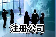 代理注册自贸区公司怎么样