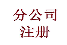 海南代理注册分公司费用是多少钱