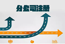 海南代理注册分公司价格是多少